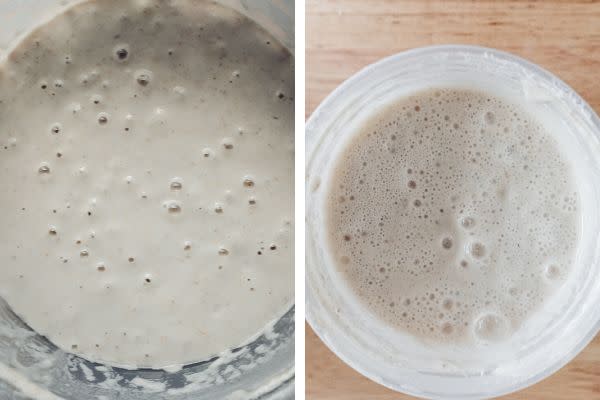 An active starter in the beginning stages (left), and a very healthy active starter after eight days. (Photo: Ilana Freddye)