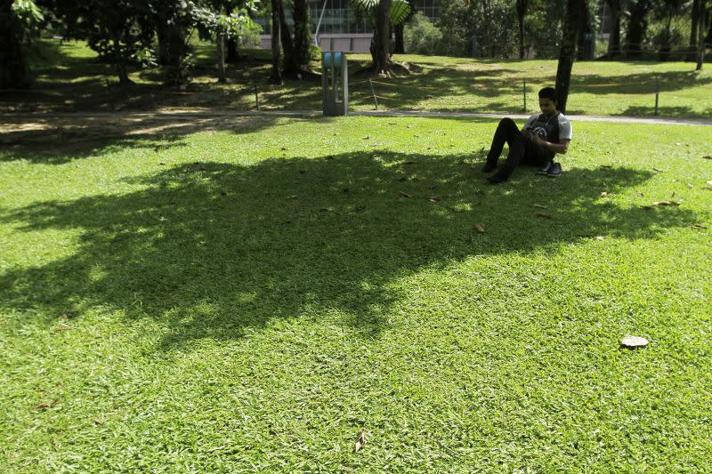 A man checks his phone in the shade on a hot day at KLCC Park in Kuala Lumpur, March 30, 2016. ― Picture by Yusof Mat Isa