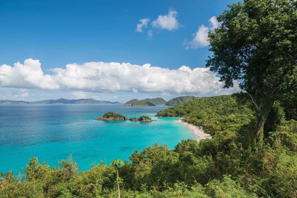 View of a beach on the US Virgin Island of St John