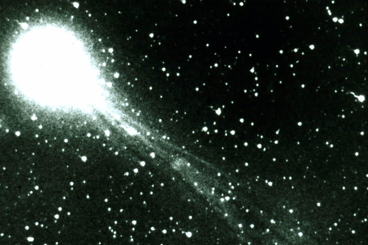 Halley's Comet in 1986 (Getty Images)