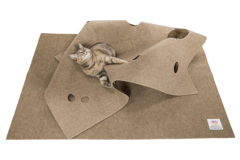 <p>The RippleRug supports your cat's primal instincts and the planet. This durable activity mat will keep your cat busy for hours and it is made from recycled plastic bottles. </p> <p><strong>Buy it!</strong> SnugglyCat Ripple Rug Cat Activity Play Mat, $43.70; <a href="https://www.anrdoezrs.net/links/8029122/type/dlg/sid/PEO10EcoFriendlyPetProductstoHelpYouCelebrateEarthDaywithYourCatorDogkbender1271PetGal12679573202104I/https://www.chewy.com/snugglycat-ripple-rug-cat-activity/dp/149935" rel="sponsored noopener" target="_blank" data-ylk="slk:Chewy.com;elm:context_link;itc:0;sec:content-canvas" class="link ">Chewy.com</a></p>
