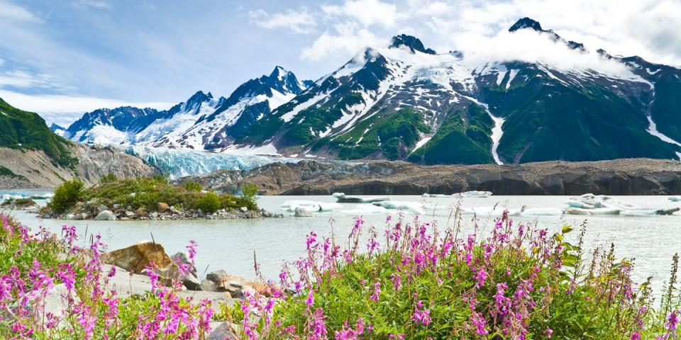 Glacier Bay National Park & Preserve — Alaska