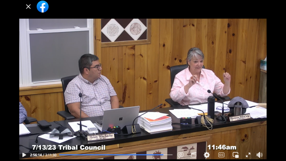 Cherokee tribal council member Teresa McCoy is shown at Thursday morning’s council meeting introducing a resolution for an adult-use marijuana referendum. SCREEN SHOT