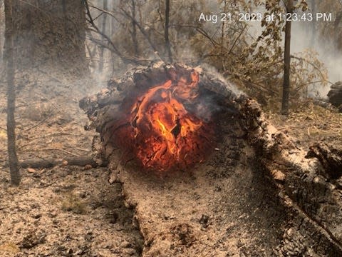 Fires in the Smith River Complex burned 52,563 acres of the Six Rivers National Forest in north Del Norte County as of Thursday morning, Aug. 24.