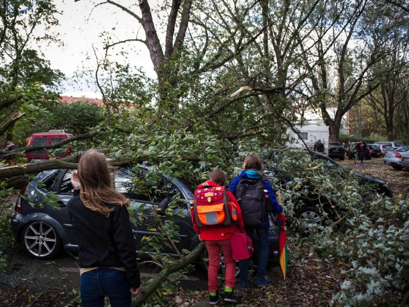 Ein Baum ist in Hamburg auf mehrere Wagen gestürzt. Foto: Maja Hitij