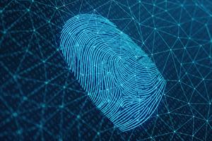 The AFIX Tracker™ is an automated fingerprint, palmprint and latent print identification solution.