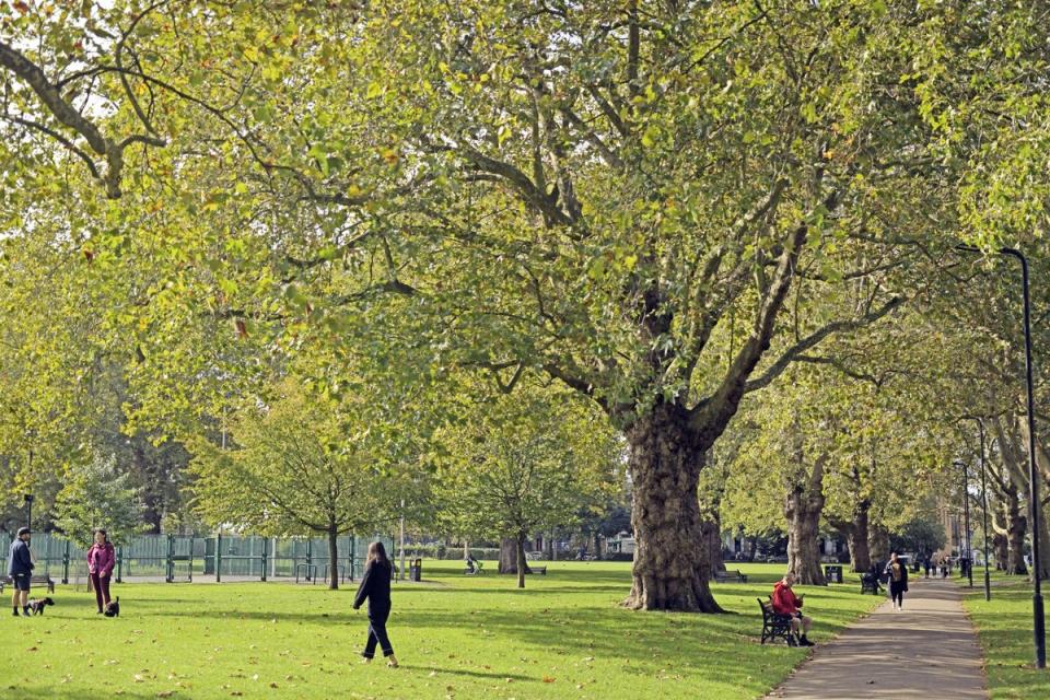 “London Fields has its charm,” says Paley (Daniel Lynch)