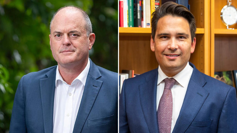 Todd Muller (L) and Simon Bridges (R). Source: Twitter/AAP