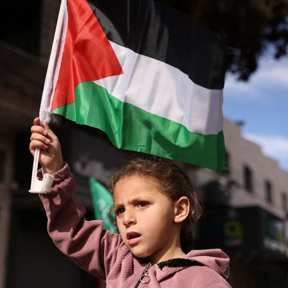 Symbol originates from the Palestinian flag