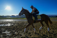 Preakness Stakes entrant Mugatu works out ahead of the 149th running of the Preakness Stakes horse race at Pimlico Race Course, Thursday, May 16, 2024, in Baltimore. (AP Photo/Julio Cortez)