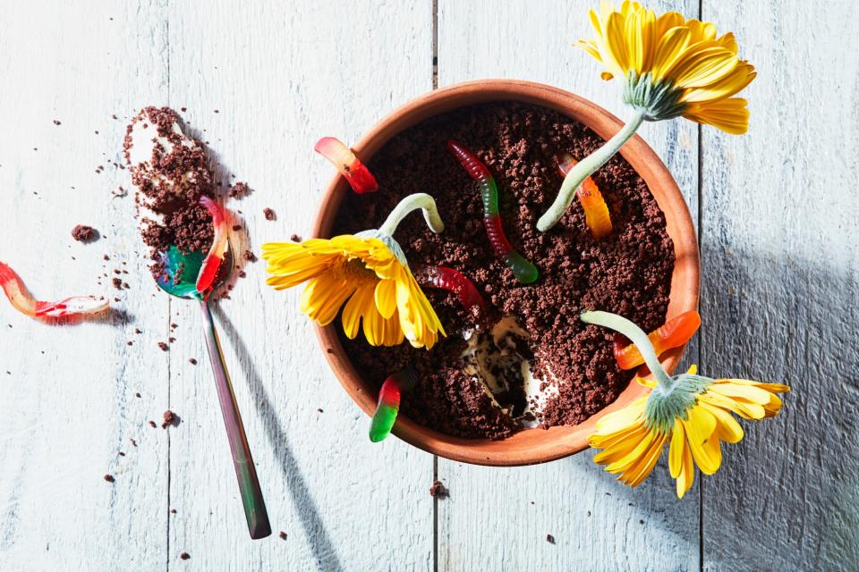 Fancy Dirt Cake