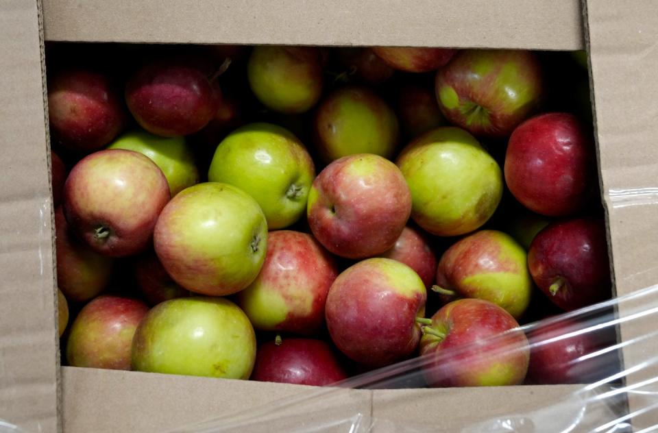 A box of apples in the produce refrigerator at the Rhode Island Community Food Bank warehouse. Among Rhode Island households, food insecurity hit 31%, up more than 10 percentage points over the previous year and more than triple the level recorded in 2017.