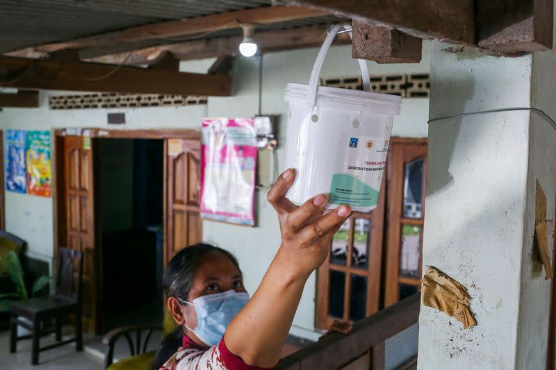 Heti Varyani, a 44-year-old local, hangs a bucket containing Wolbachia mosquito eggs outside her house in Yogyakarta