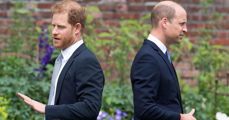 Prince Harry and Prince William