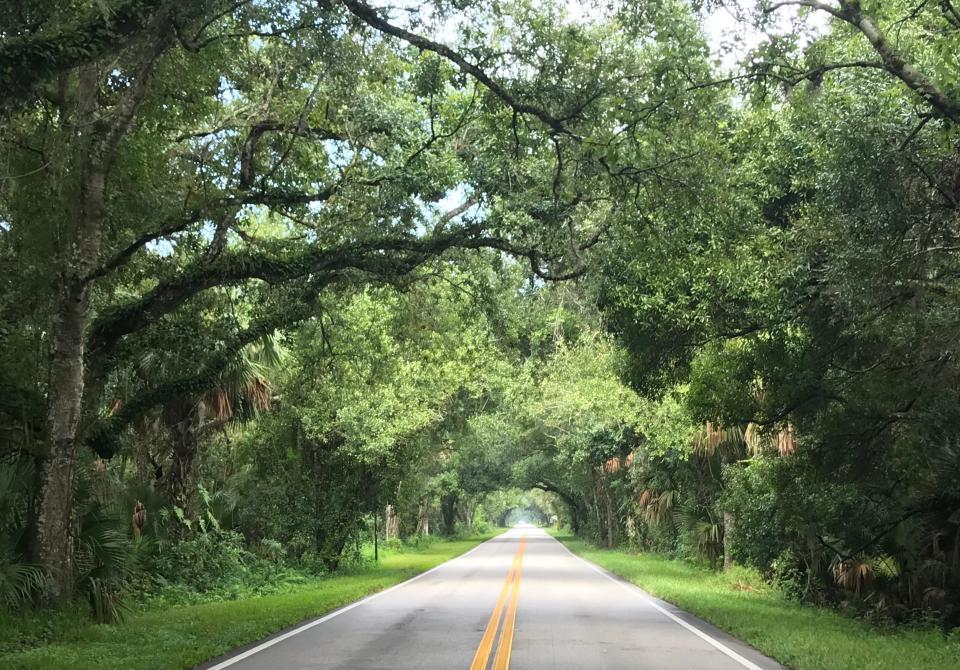 Martin Grade Scenic Highway (County Road 714) is a 12-mile road that runs east west and winds through the Allapattah Flats Wildlife Management Area.