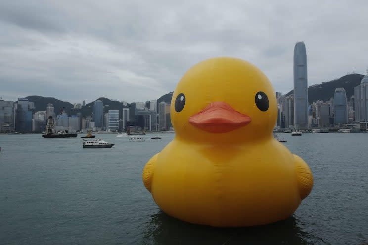 This giant rubber duck created by Dutch artist Florentijn Hofman visits Hong Kong’s Victoria Habour on May 2, 2013. Photo from AP via CP.