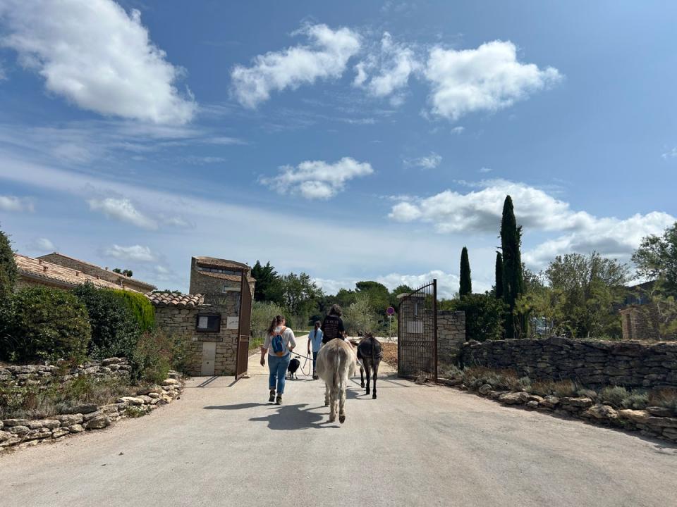 A donkey ride around the grounds (Victoria Moss)