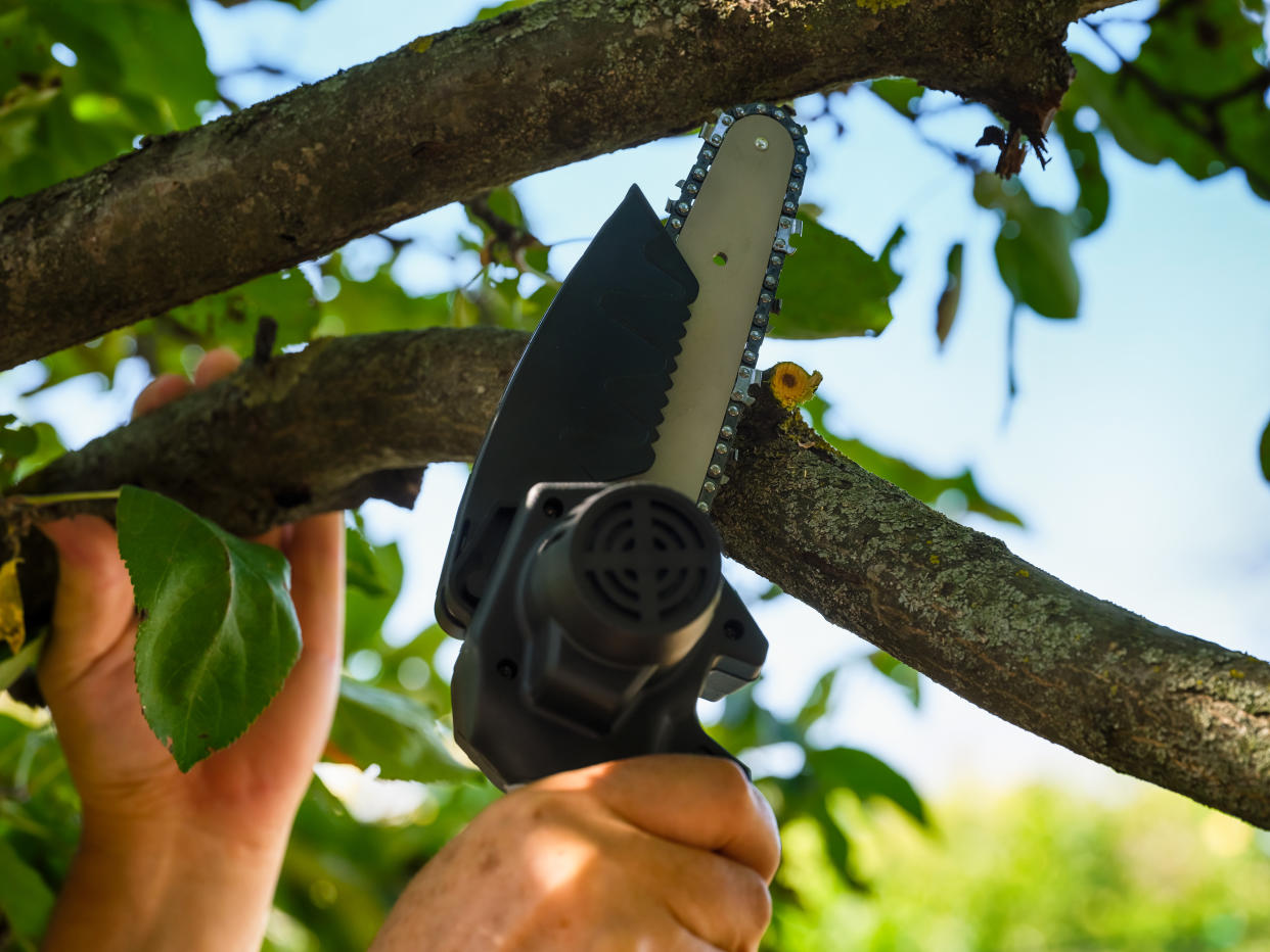 chainsaw, A person cutting a branch of a tree with a portable electric chain saw, Zeeksaw Mini Chainsaw Cordless 6 Inch, Super Powerful Hand Saw with Battery, 1 Hour Run-Time Electric Chainsaw, Small Handheld Chainsaw for Wood Cutting Tree Trimming, Best Mini Chain Saw Cordless