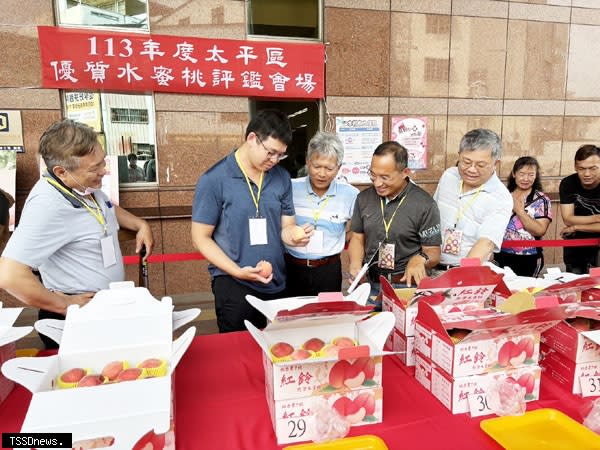 評審委員就紅鈴水蜜桃外觀及果形評分。