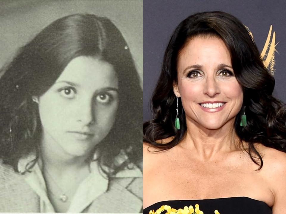 julia louis dreyfus high school