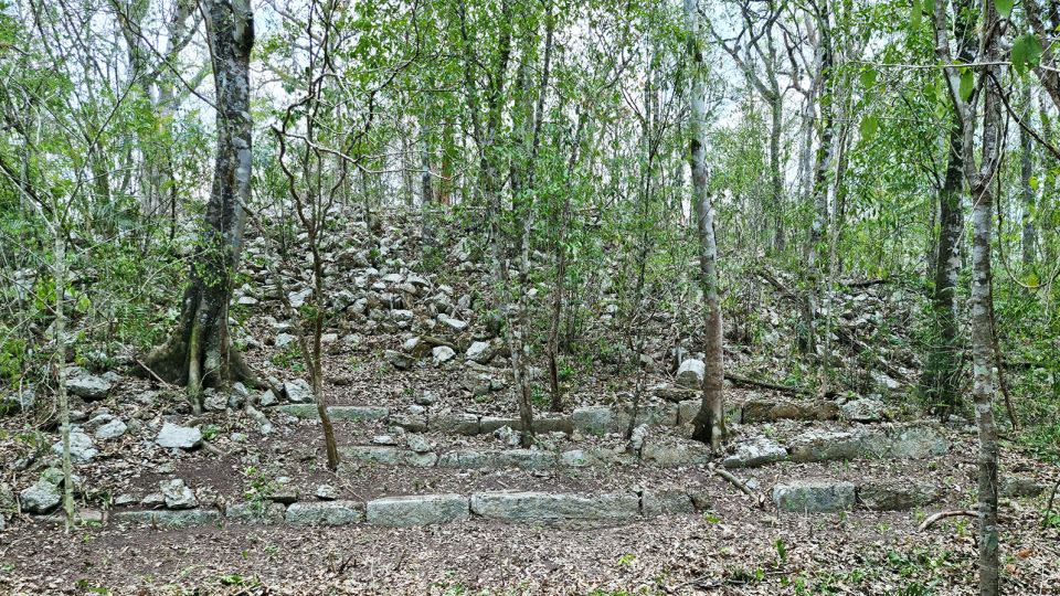 Shown here are the remains of a building with a staircase that once stood within the ancient city of Ocomtún on the Yucatán Peninsula. - Ivan Šprajc/ZRC SAZU