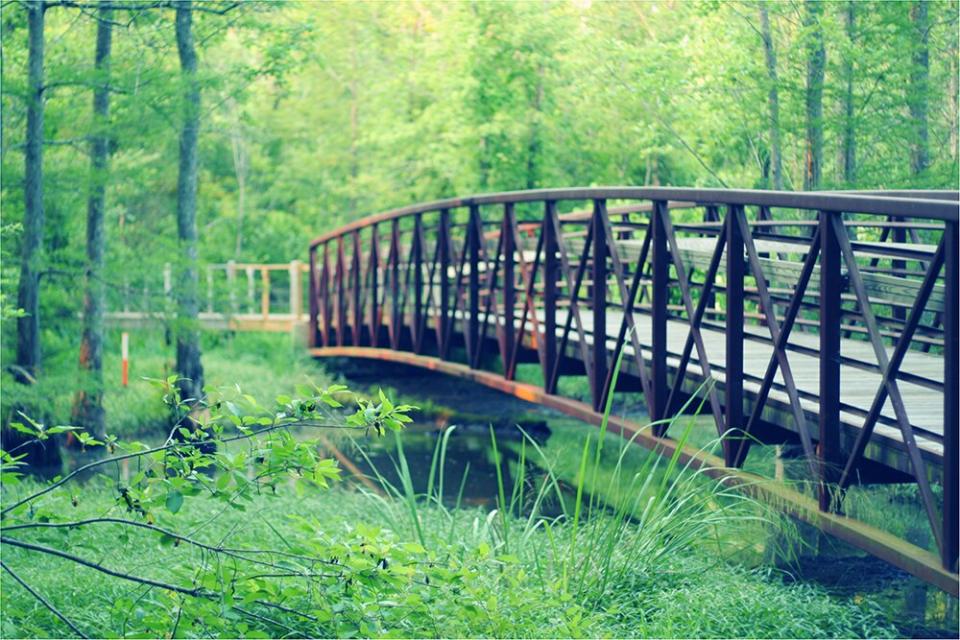 Peterson Lake Nature Center bridge