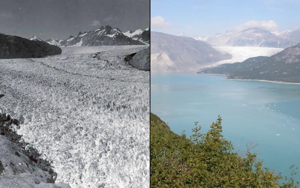 Alaska's Muir Glacier, pictured in August 1941 (left) and August 2004: NASA