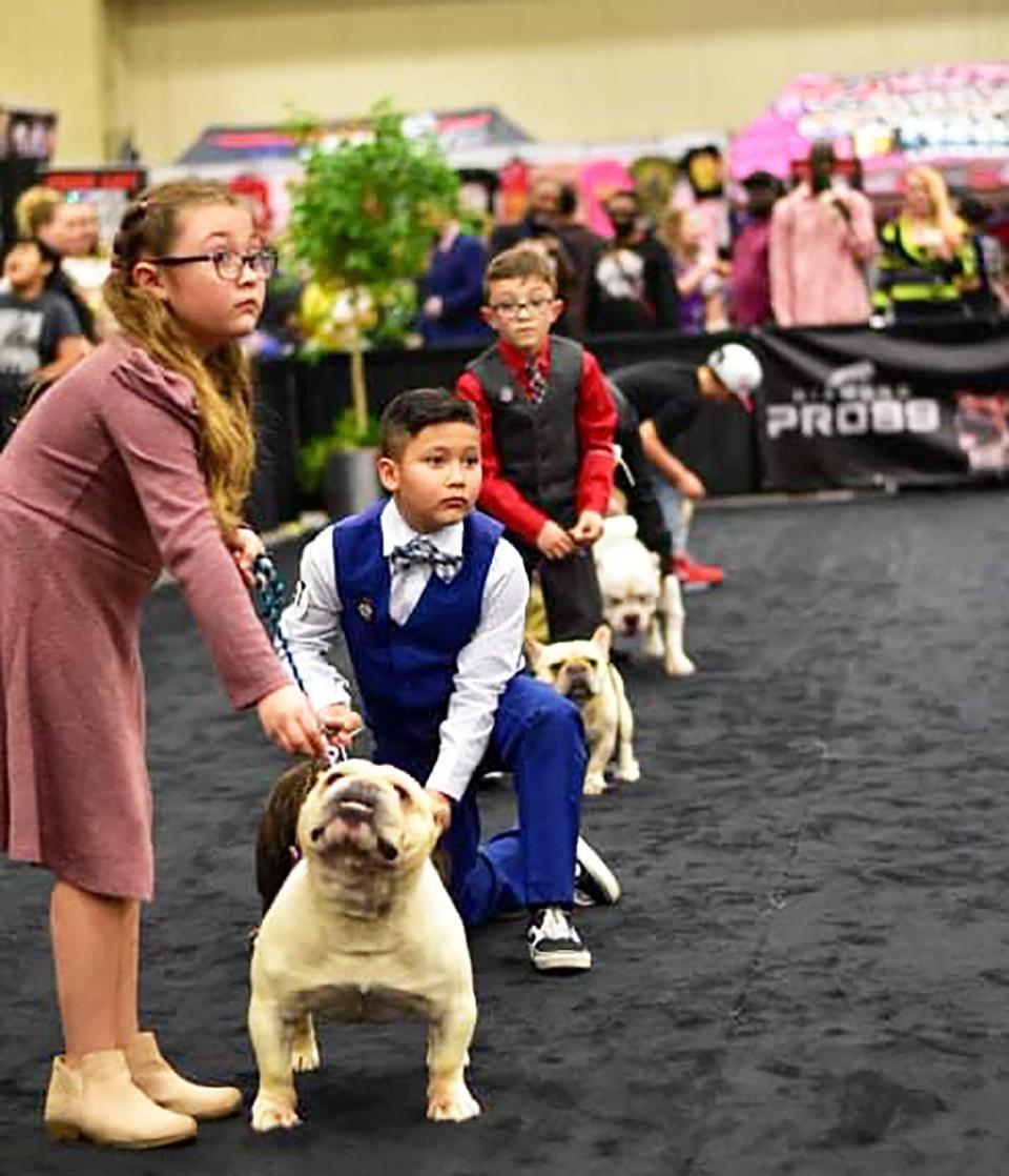 Miley Romero, 9; competes with shorty bulldog Bronco in the junior handler class alongside her brothers Xzavier, 10 (center) and Madden, 6. Miley won first place junior handler during the  American Bully Kennel Club National Show in Dallas, Texas, Dec. 4.