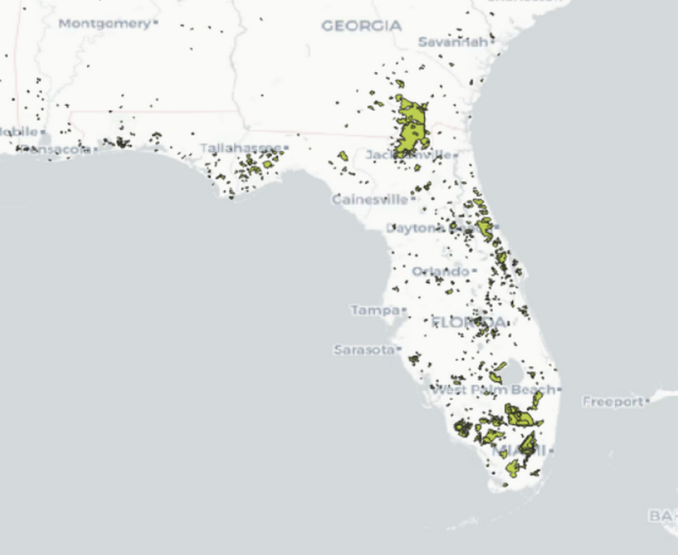 This map shows historic wildfires across Florida from roughly 1994-2020 using data from the monitoring trends in burn severity program (MTBS). New research from First Street Foundation suggests wildfire risk could double in Florida due to climate change.