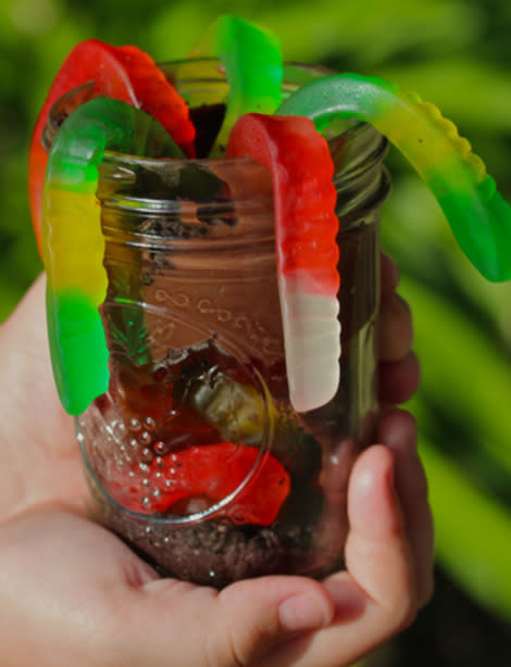 Worms and Dirt in a Jar