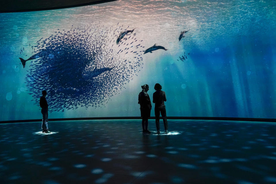 Visitantes en la exhibición interactiva del nuevo Centro Richard Gilder para la Ciencia, la Educación y la Innovación, durante una visita previa a su inauguración, el miércoles 26 de abril de 2023, en el Museo de Historia Natural de Nueva York. (AP Foto/Mary Altaffer)