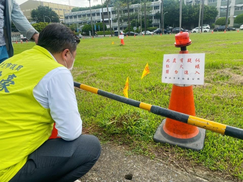 新北市議員張志豪要求市府一週內完成滅蟻防治。   圖：張志豪服務處提供