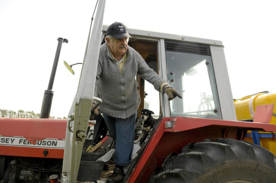 FILE - In this Oct. 25, 2009, file photo Uruguay's President Jose Mujica, 74, stands in a tractor on his flower farm on the outskirts of Montevideo, Uruguay, Sunday. While outside his country he is an international figure, well known for his modest lifestyle, consistent with his ideals and his good-nature, among his own people Uruguay’s President known as "Pepe" does not generate such devotion and many question his management. (AP Photo/Matilde Campodonico, File)