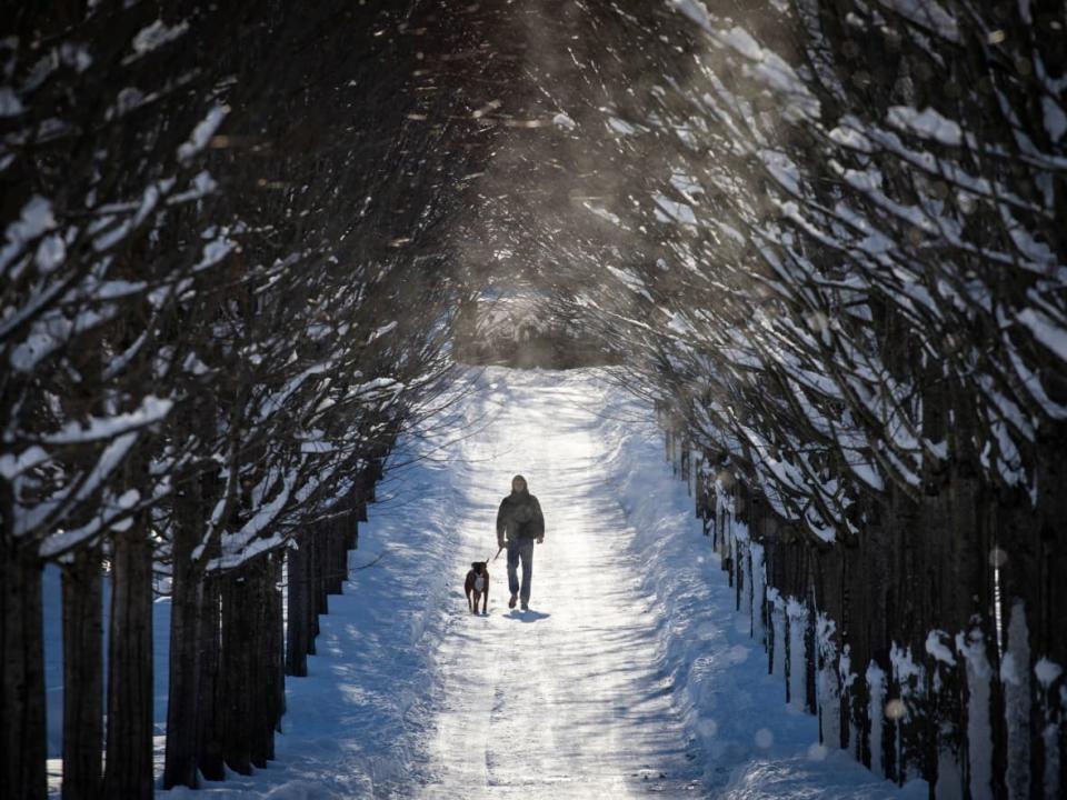 A person walks a dog at Mountainview Cemetery in frigid temperatures in Vancouver in December 2022. CBC meteorologist Johanna Wagstaffe says plunging temperatures will stick around for much of next week. (Ben Nelms/CBC - image credit)