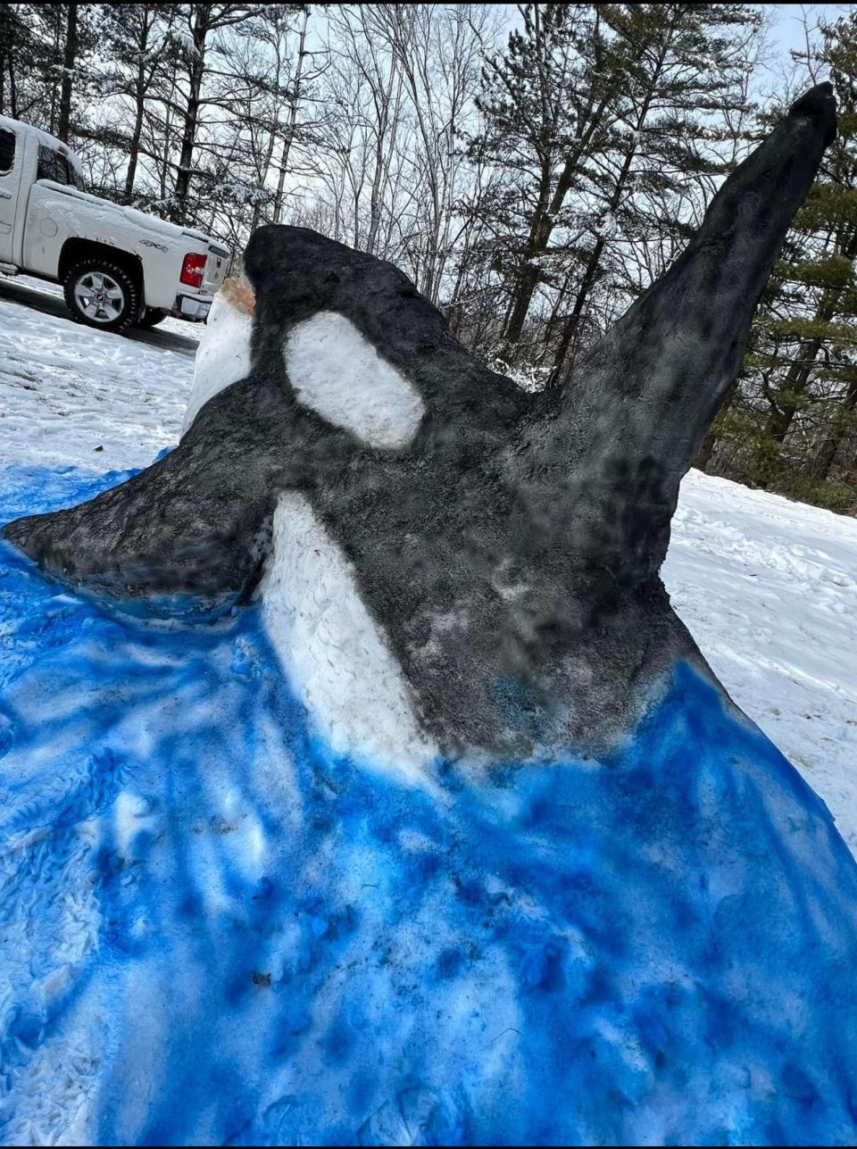 Jeffrey Kosloski's whale sculpture made of snow is on display in Lansing, Michigan on Jan. 13, 2024.