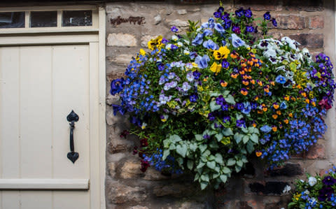 Britain in Bloom is coming - Credit: P Derrett/Getty Images