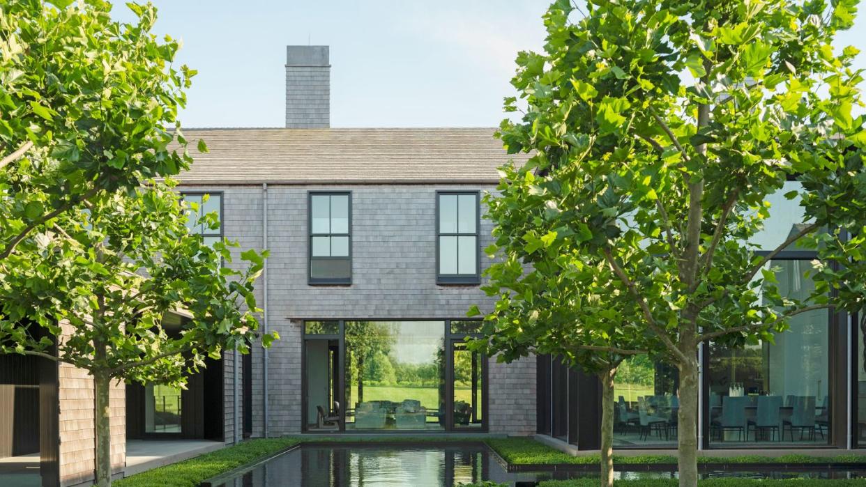 bridgehampton new york home pollarded plane trees give statuesque definition without obscuring views