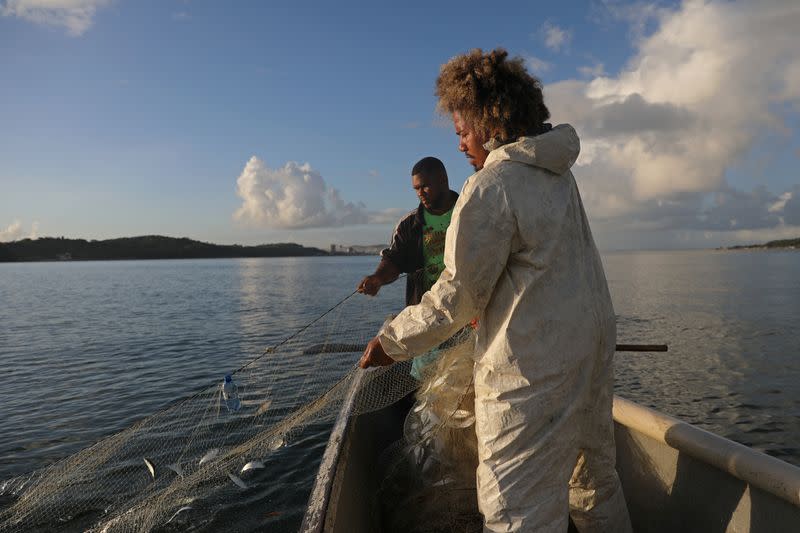 The Wider Image: Black Brazilians in remote 'quilombo' hamlets stand up to be counted