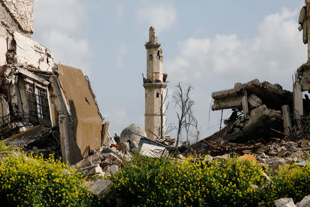 Blossoming vegetation is seen near the damaged minaret of the Tawashi mosque in the old city of Aleppo, Syria April 9, 2019. Picture taken April 9, 2019. REUTERS/Omar Sanadiki