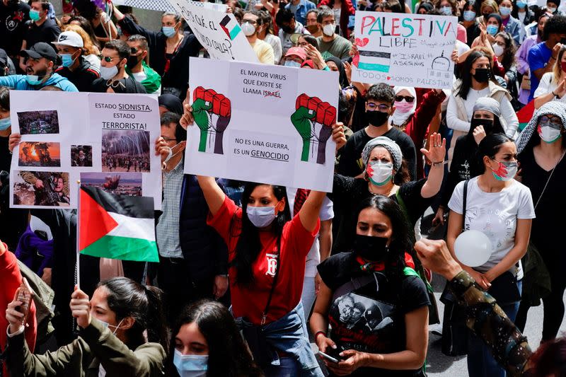 Protest in support of Palestine, in Madrid