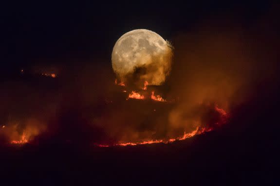 The full moon rises behind burning moorland as a large wildfire sweeps across the moors between Dovestones and Buckton Vale in Stalybridge, Greater Manchester.