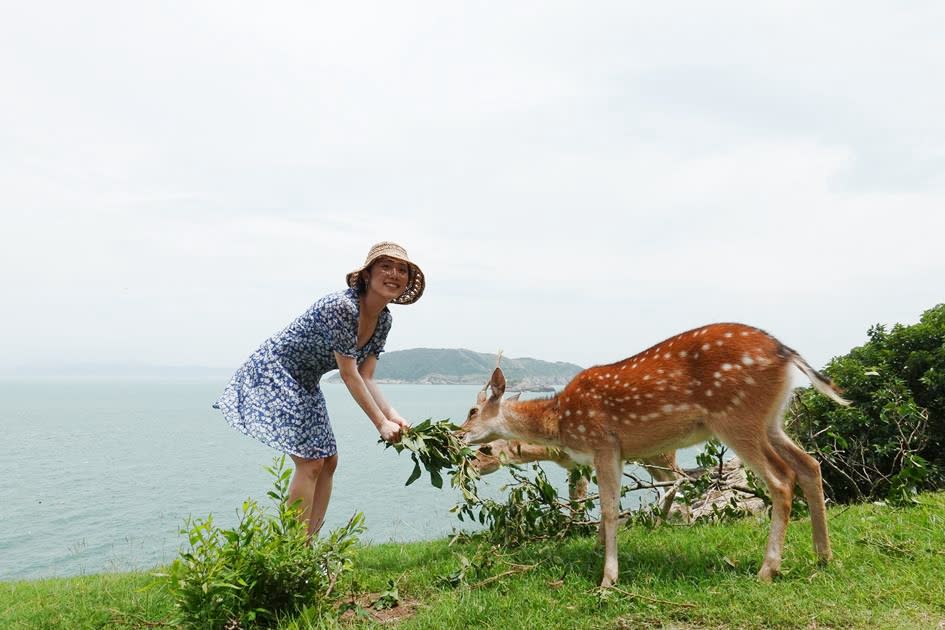 馬祖北竿公車慢遊  遊台版地中海山城、海上奈良公園餵小鹿