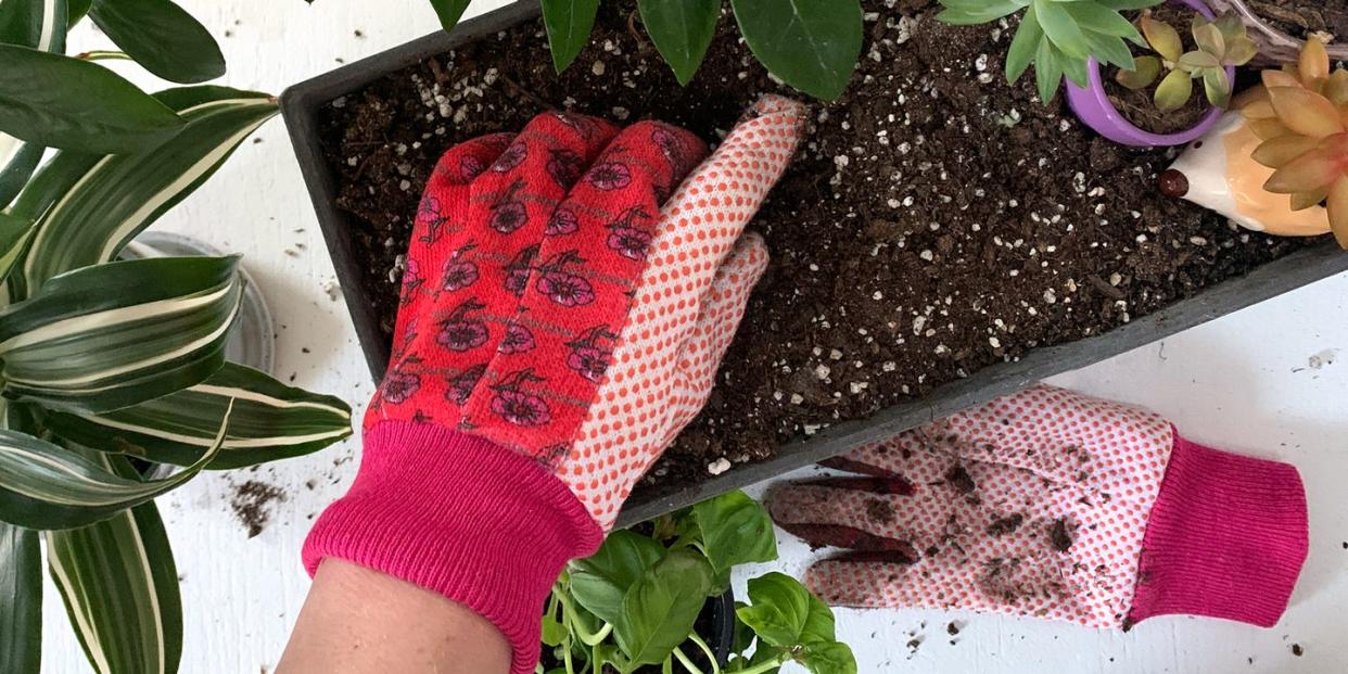 red gardening gloves digging into windowsill planter