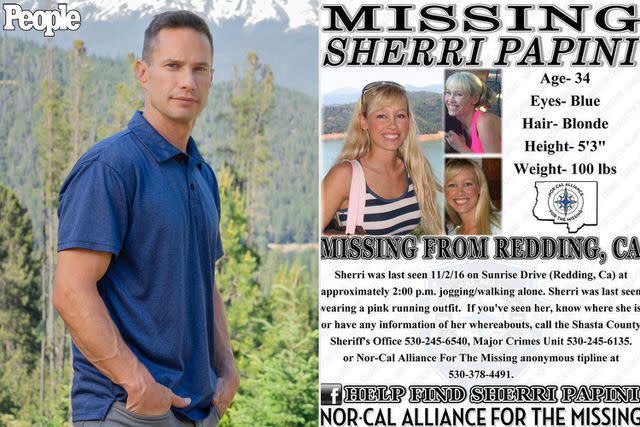 <p>Chloe Aftel</p> Keith Papini, left, and Sherri Papini's missing person poster