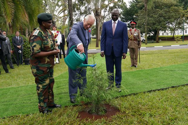 <p>Arthur Edwards/Pool/Getty</p> King Charles waters and plants a tree with President of the Republic of Kenya, William Ruto on October 31.