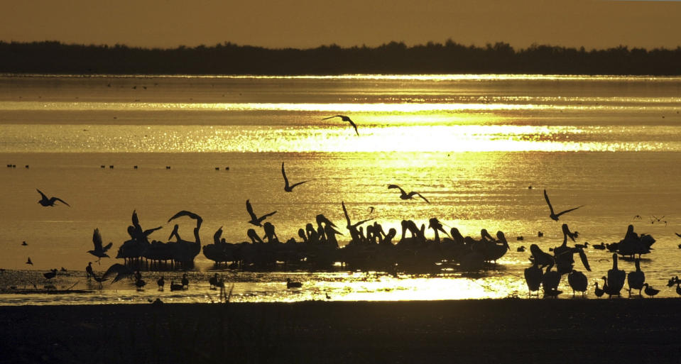 FILE - In this Sept. 3, 2002 file photo, birds find refuge at sunset on the surface of the Salton Sea, one of the largest pit stops for migratory birds in north America, which is at the center of the debate over the future of Southern California water, in the desert near Niland, Calif. Work on a multistate plan to address drought on the Colorado River in the U.S. West won't be done to meet a Monday, March 4, 2019 federal deadline. A California irrigation district with the highest-priority rights to the river water says it won't approve the plan without securing money to restore the state's largest lake. The Imperial Irrigation District wants $200 million for the Salton Sea, a massive, briny lake in the desert southeast of Los Angeles. (AP Photo/Reed Saxon, File)