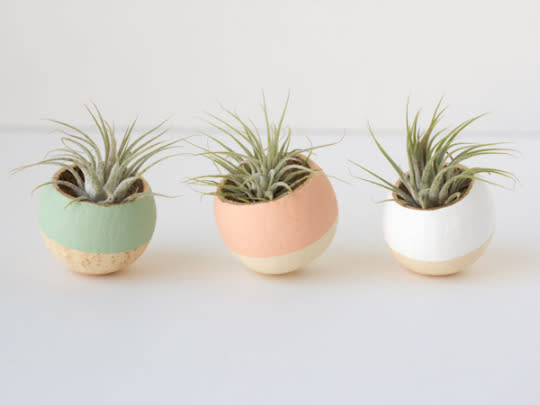 Chelsea of Lovely Indeed’s DIY bell cup air plant holders