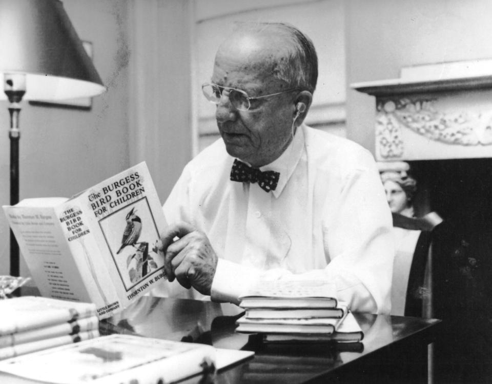 Thornton Burgess looks through his "Burgess Bird Book for Children."