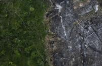 An area of the Amazon rainforest which has been slashed and burned stands next to a section of virgin forest, as seen from a police helicopter during a sting operation against sawmills and loggers who trade in illegally-extracted wood from the Alto Guama River indigenous reserve in Nova Esperanca do Piria, in Para state in this September 29, 2013 file photo. To match Special Report BRAZIL-DEFOREST/ REUTERS/Ricardo Moraes/Files (BRAZIL - Tags: ENVIRONMENT CRIME LAW POLITICS BUSINESS)