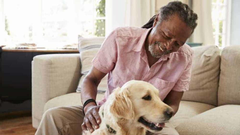 Senior Man Sitting On Sofa At Home With Pet Labrador Dog